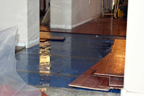 Professional Basement Flood Cleanup technician working in Eldorado, OH